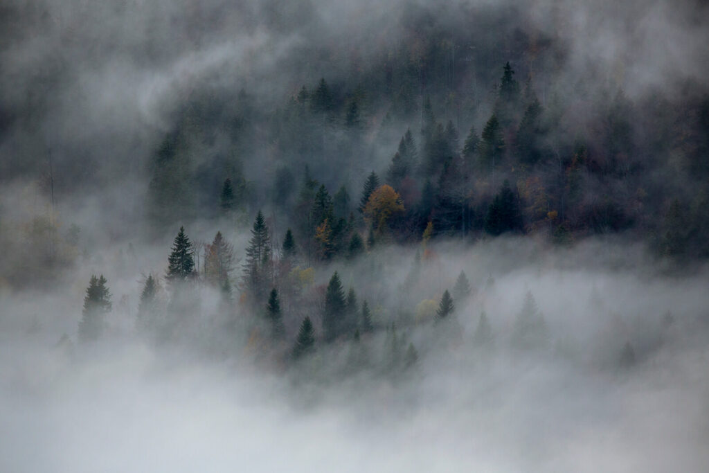 6 Bonnes Raisons De Sortir Meme Sous La Pluie Petit Bivouac